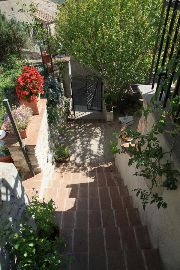 B&B Porchiano Del Monte Amelia Exteriör bild